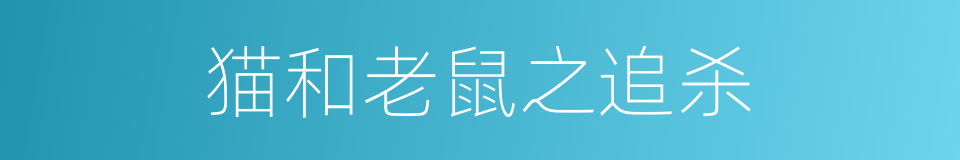 猫和老鼠之追杀的同义词