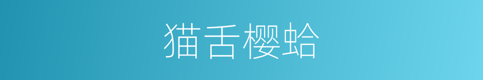 猫舌樱蛤的同义词