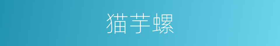 猫芋螺的同义词