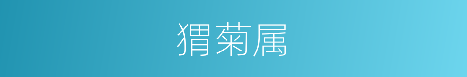 猬菊属的同义词