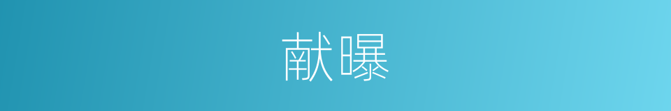 献曝的同义词