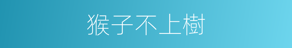 猴子不上樹的同義詞