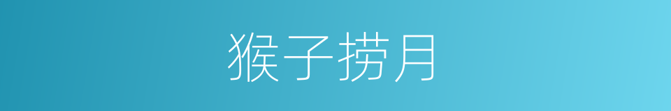 猴子捞月的意思