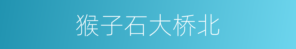 猴子石大桥北的同义词