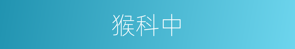 猴科中的同义词