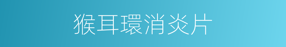 猴耳環消炎片的同義詞