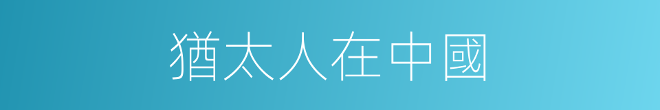 猶太人在中國的同義詞