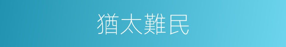 猶太難民的同義詞