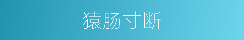 猿肠寸断的意思