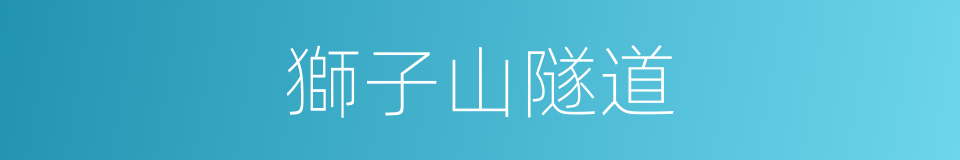 獅子山隧道的同義詞