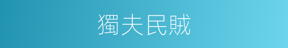 獨夫民賊的意思