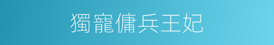 獨寵傭兵王妃的同義詞