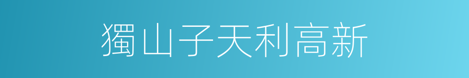 獨山子天利高新的同義詞