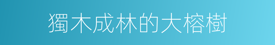 獨木成林的大榕樹的同義詞