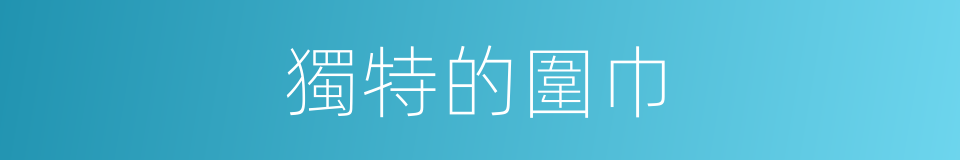 獨特的圍巾的同義詞