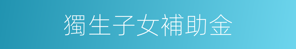 獨生子女補助金的同義詞