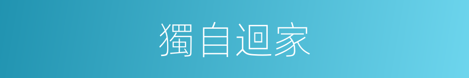 獨自迴家的同義詞