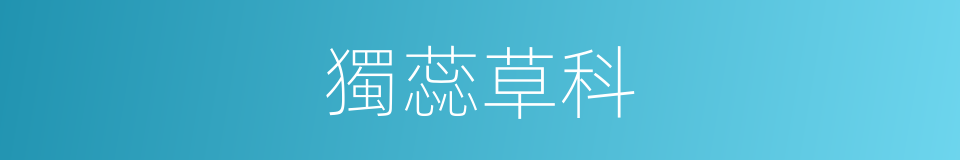 獨蕊草科的同義詞