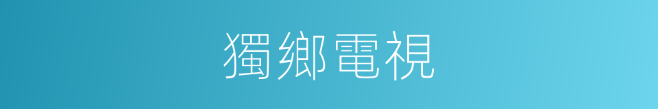 獨鄉電視的同義詞