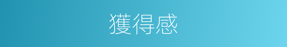 獲得感的意思