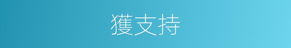 獲支持的同義詞