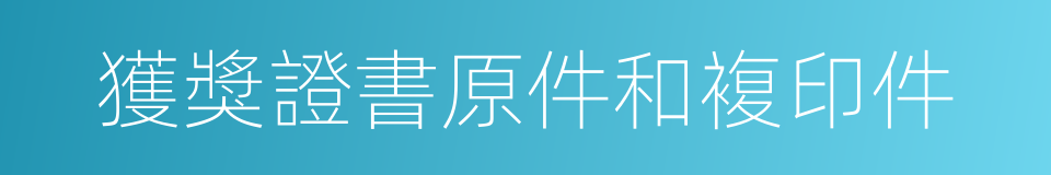 獲獎證書原件和複印件的同義詞