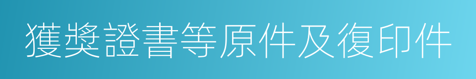 獲獎證書等原件及復印件的同義詞