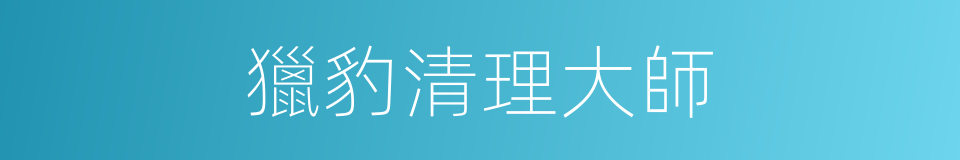 獵豹清理大師的同義詞