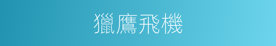 獵鷹飛機的同義詞