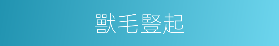 獸毛豎起的同義詞