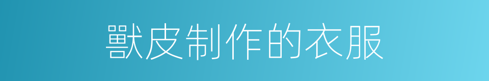 獸皮制作的衣服的同義詞