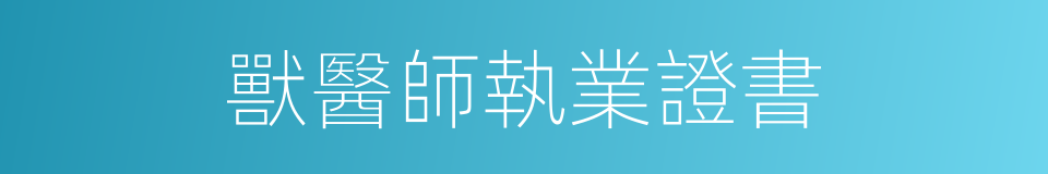 獸醫師執業證書的同義詞