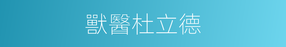 獸醫杜立德的同義詞