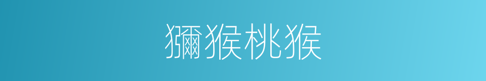 獼猴桃猴的同義詞