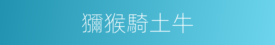 獼猴騎土牛的同義詞