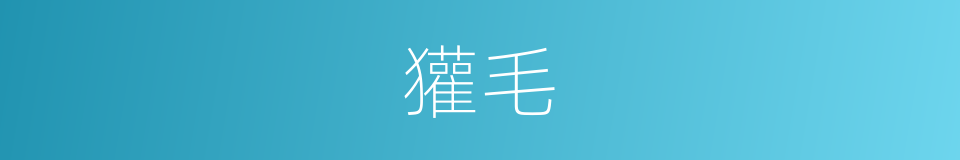 獾毛的同义词