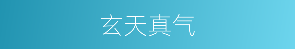 玄天真气的同义词