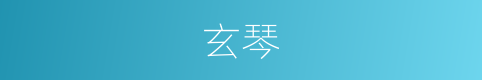 玄琴的意思