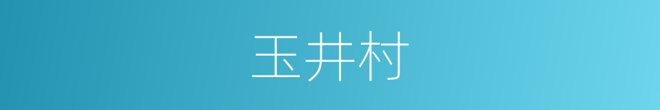 玉井村的同义词