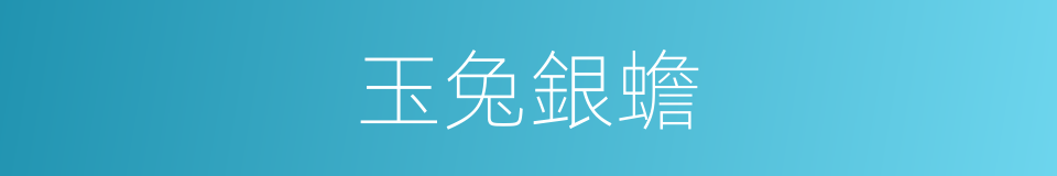 玉兔銀蟾的意思