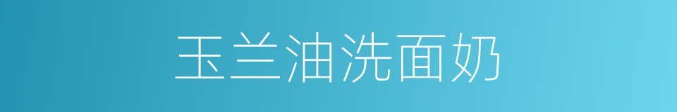 玉兰油洗面奶的同义词