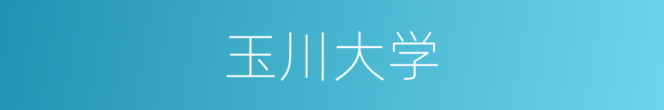 玉川大学的同义词