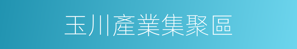 玉川產業集聚區的同義詞