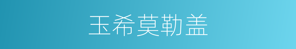 玉希莫勒盖的同义词