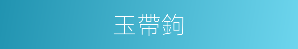 玉帶鉤的同義詞