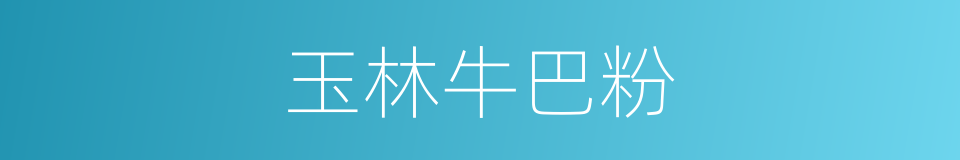 玉林牛巴粉的同义词