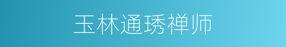 玉林通琇禅师的同义词