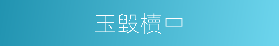 玉毀櫝中的意思