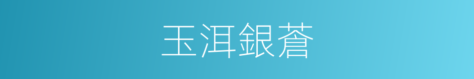 玉洱銀蒼的同義詞