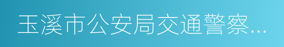 玉溪市公安局交通警察支队的同义词